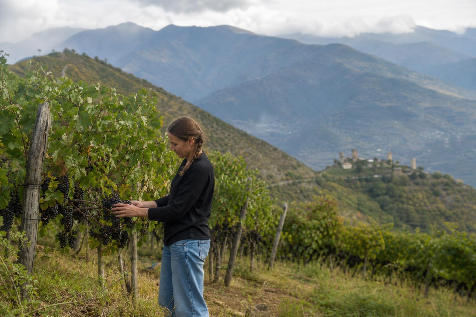 Exploring Georgia's New Agro-Tourism Routes: A Journey Through Sustainable Farming